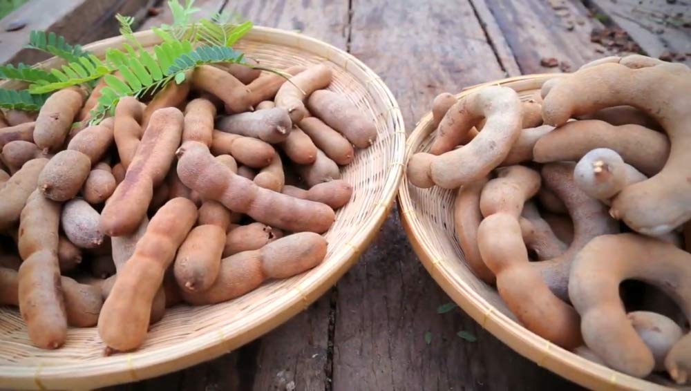 Happy Panda Seedless Tamarind Paste 14 Ounce Package (Imli | Me Chua | Tamarindo)