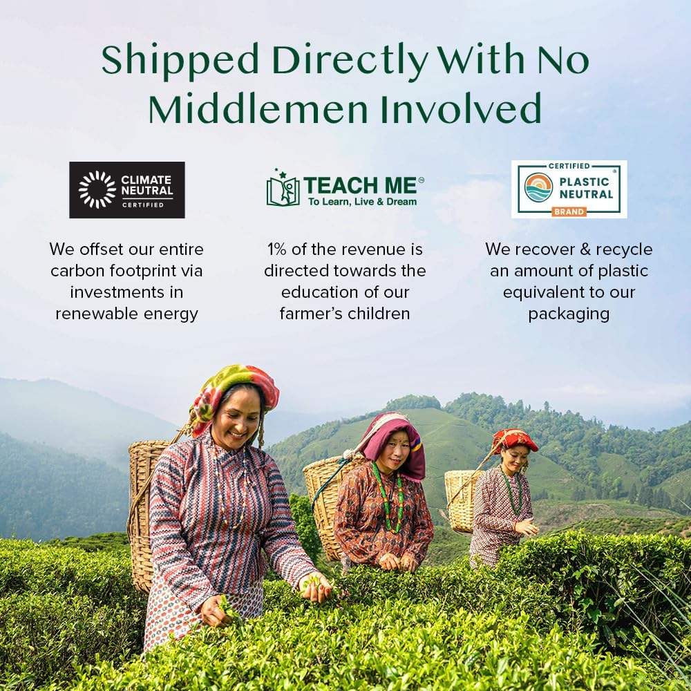 VAHDAM Top 10 Favourites Tea Sampler Set | Loose Leaf Tea (50+ Cups) | Tea Variety Pack with Green, Herbal, Black & Chai Brew | Vacuum Sealed For Freshness | Brew Hot & Cold