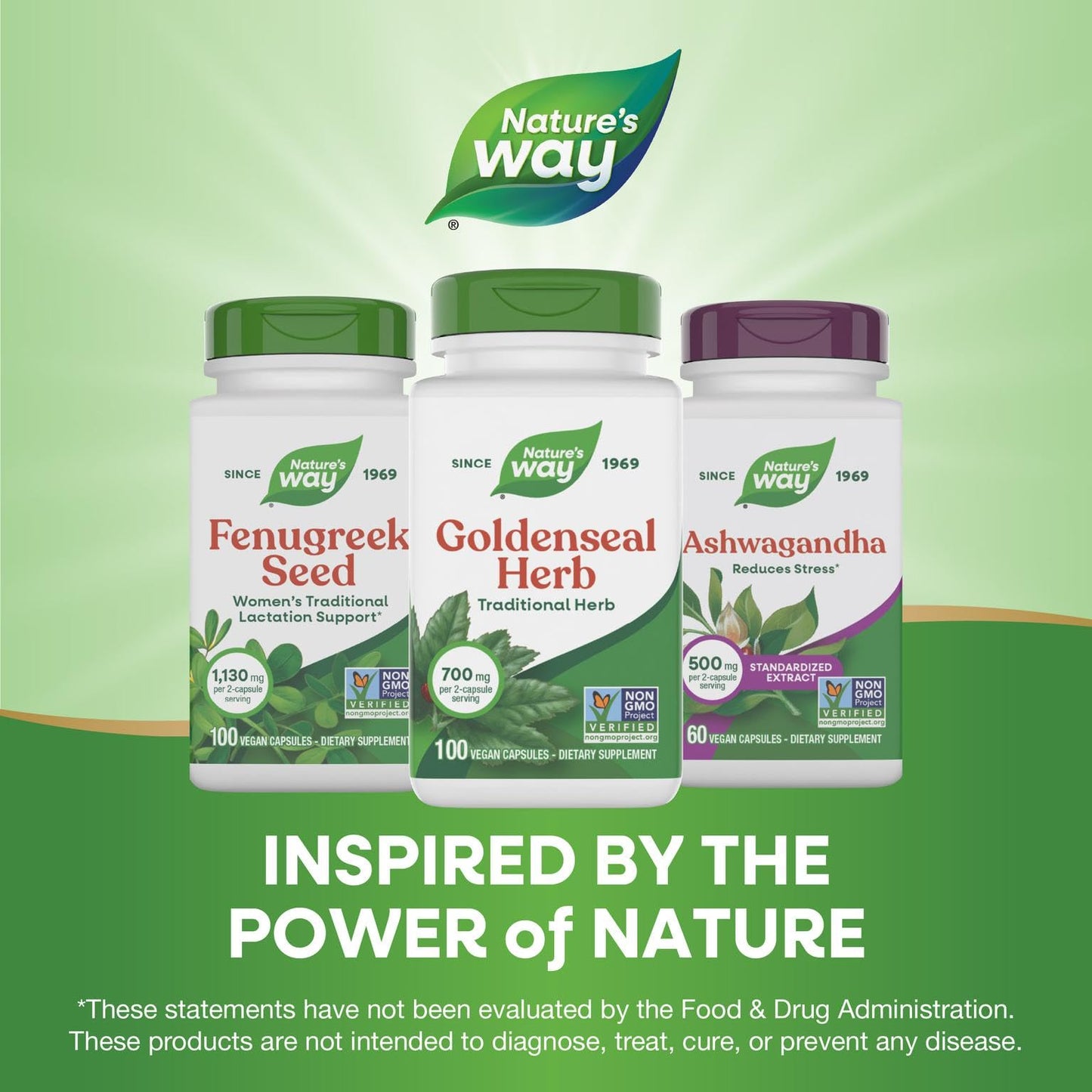 Nature's Way Goldenseal, Traditional Herb, 700 mg per 2-Capsule Serving, Non-GMO Project Verified, Vegan, 100 Capsules