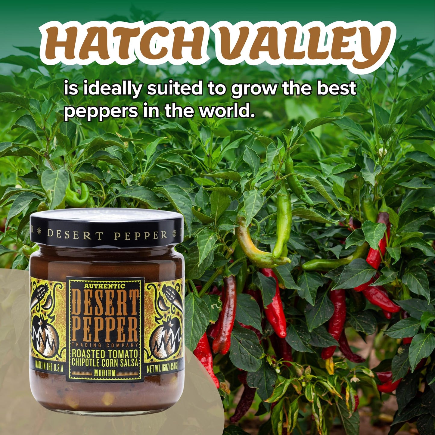 Desert Pepper Roasted Tomato Chipotle Corn Salsa - Dip/Salsa with Jalapeno and Chipotle Peppers, Fresh Veggie, Roasted Tomato Salsa Vegan, Gluten-Free, Low Carb Snack Salsa Medium, 6-Pack