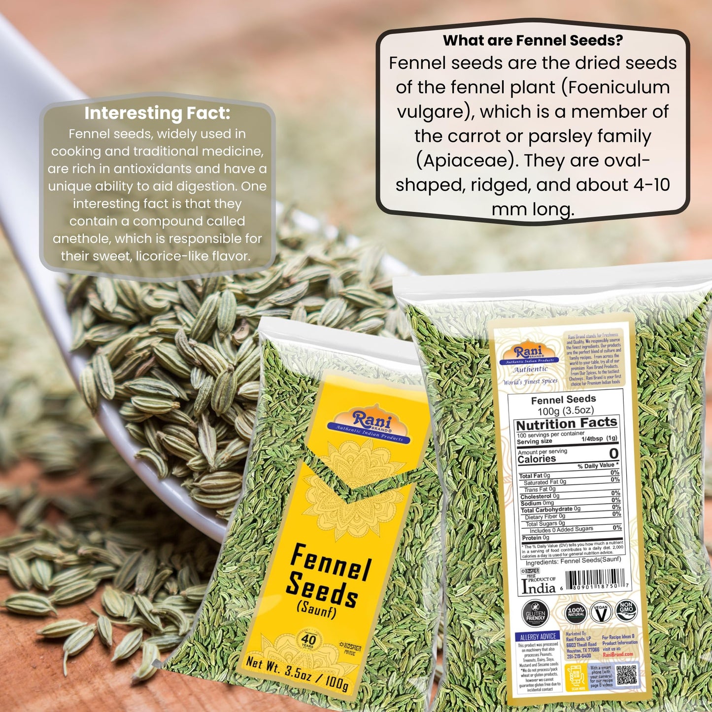 Rani Fennel Seeds (Saunf Sabut) Whole Spice 3.5oz (100g) ~ All Natural | Gluten Friendly | NON-GMO | Kosher | Vegan | Indian Origin