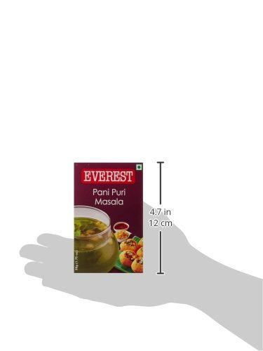 Everest Pani Puri Masala 50gm
