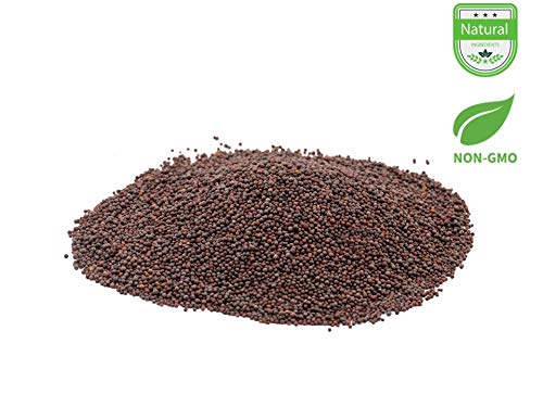 Indian Spice Mustard Seeds 7oz-