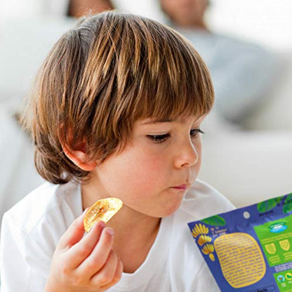 Banana Chips Sea Salt Healthy Chips - 1 Billion Probiotics healthy snacks for adults and kids, Gluten free Vegan Paleo non gmo Unsweetened Dried bananas kids snacks for school by Banana Joe x6
