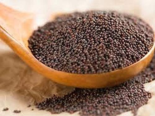 Indian Spice Mustard Seeds 7oz-