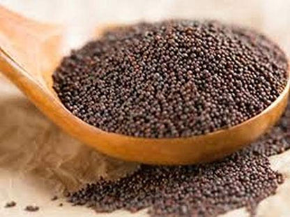 Indian Spice Mustard Seeds 7oz-