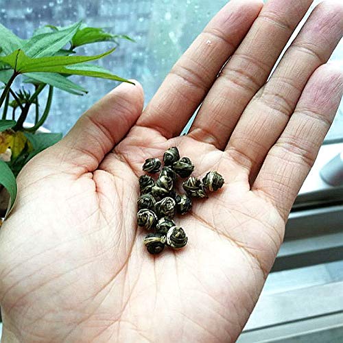 ChaWuWarmSun Jasmine Pearls Tea Dragon Ball,3.5oz/100g,Loose Leaf Green Tea of Chinese