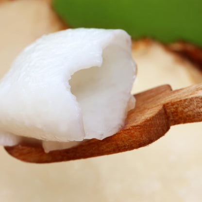 Young Coconut Meat in Syrup - 15oz (Pack of 3)
