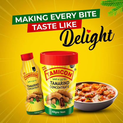 Tamicon Tamarind Concentrate | Tangy & Sour Imli Chutney | South Indian Style Paste | Ideal for Indian Curries, Thai Sauces & Kitchen Recipes | 14 Oz (Pack of 4)