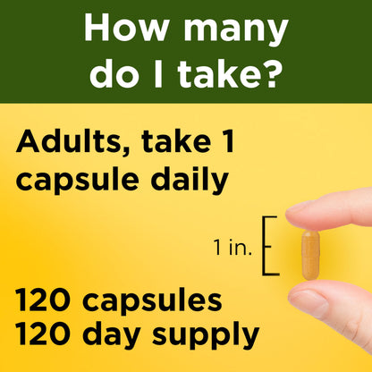 Nature Made Turmeric Curcumin 500 mg, Turmeric Curcumin Supplement for Antioxidant Support, Herbal Supplements, 120 Capsules, 120 Day Supply