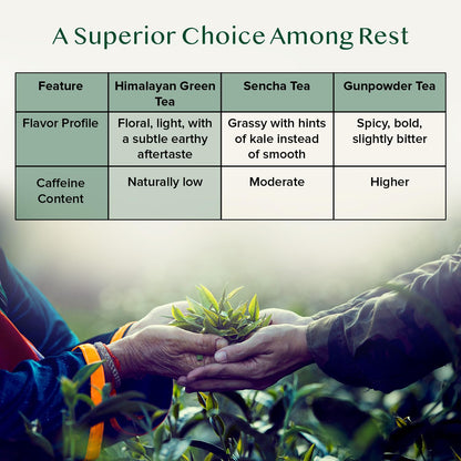 VAHDAM, Himalayan Green Tea Leaves (50+ Cups, 3.53 Oz) Non GMO, Gluten Free | High Elevation Grown Green Tea Leaves From Himalayas | Pure Unblended Single Origin Green Loose Leaf Tea | Vacuum Sealed
