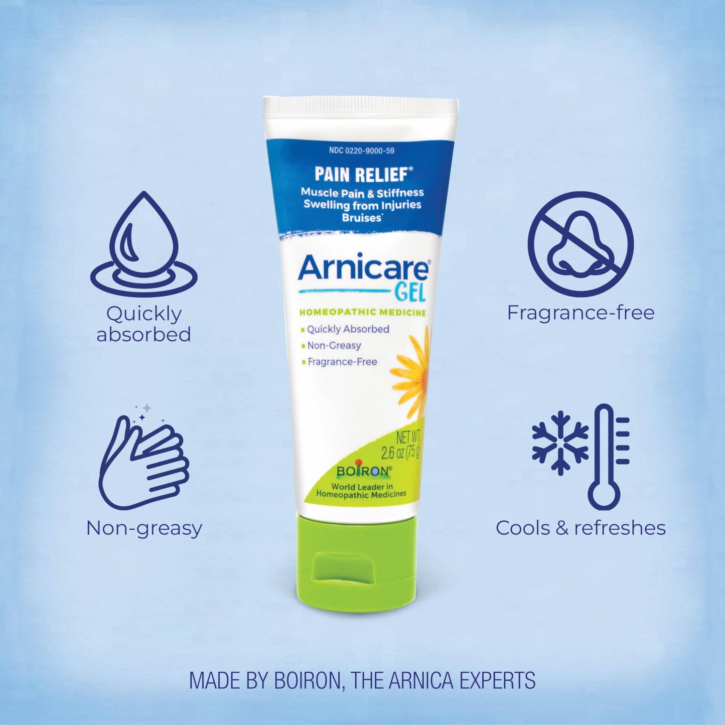 Boiron Arnicare Gel - Non-Greasy and Fragrance-Free - 2.6 oz