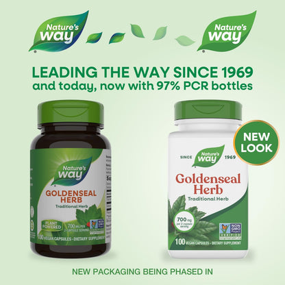 Nature's Way Goldenseal, Traditional Herb, 700 mg per 2-Capsule Serving, Non-GMO Project Verified, Vegan, 100 Capsules