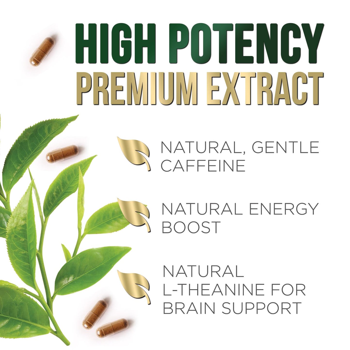 Green Tea Extract Capsules 1000 mg Per Serving - 3X Strength Green Tea Pills with 45% EGCG & 98% Polyphenols for Natural Energy - Vegan Antioxidant Herbal Supplement for Heart Support - 240 Capsules
