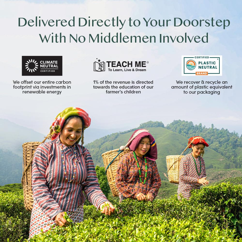 VAHDAM, Jungpana Premium Darjeeling Second Flush Black Tea 2024 | 3.53oz/100g, 100% Pure, Unblended & Freshly Hand-picked Loose-Leaf Tea | Fresh Summer Harvest | Brews 50+ cups