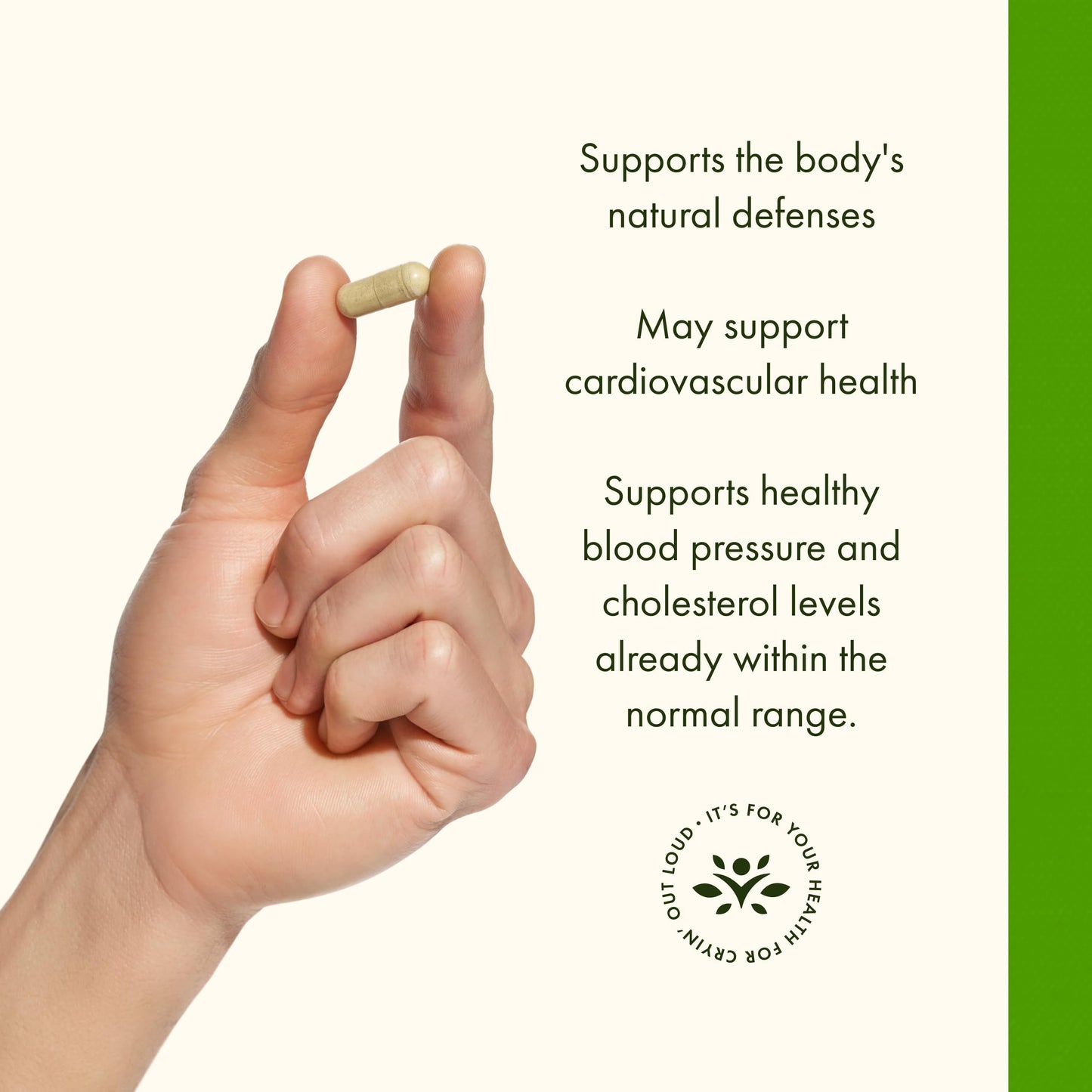 Swanson Olive Leaf Extract Capsules with 20% Oleuropein - Provides Immune Support, Promotes Cardiovascular System Health, and Supports Healthy Blood Pressure - (120 Capsules, 500mg Each)