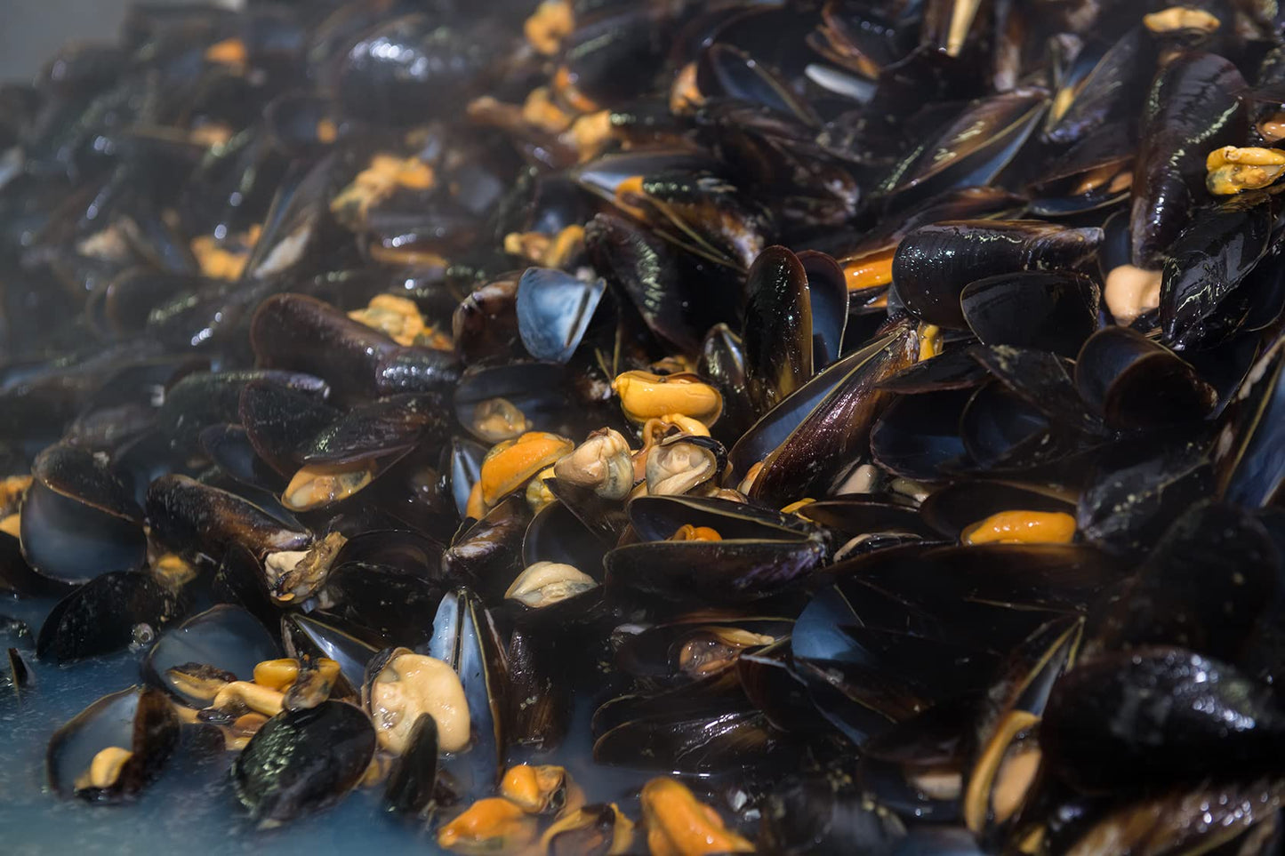 Matiz España Mussels in Extra Virgin Olive Oil & Apple Cider Vinegar | 3.92 oz. - 2 Pack | Handcrafted in Galicia, Spain | Sustainably Cultivated Mussels with Spices |