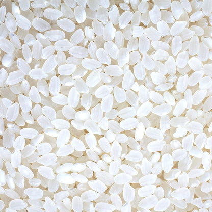 Kagayaki Select Rice | California White Short Grain | Koshihikari Variety | Kapika Processed | Ideal for Gourmet Cooking | Preferred by Professional Chefs | Famous for Delicious Flavor (4.4 lbs)