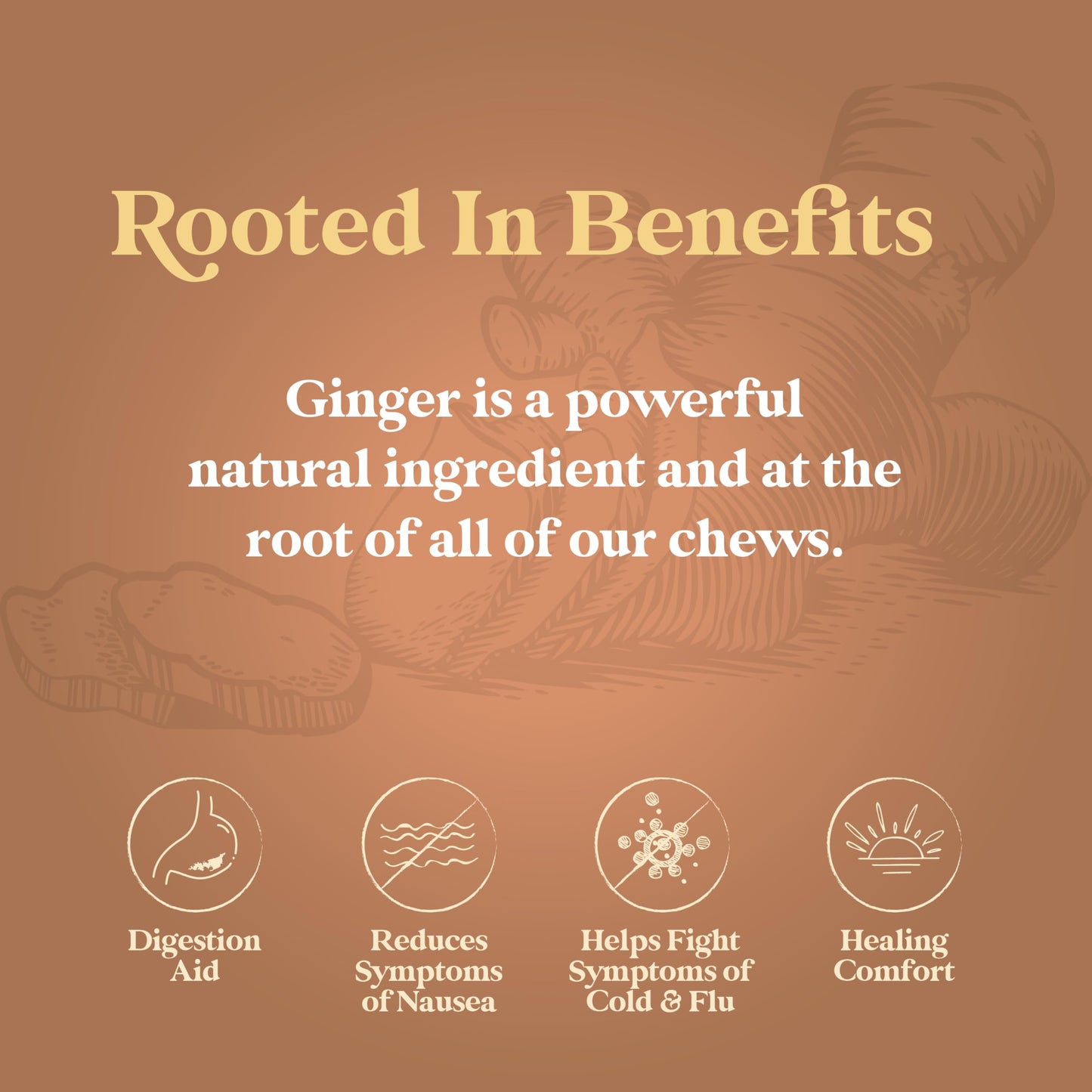 Chimes Ginger Chews 1lb Variety Bag