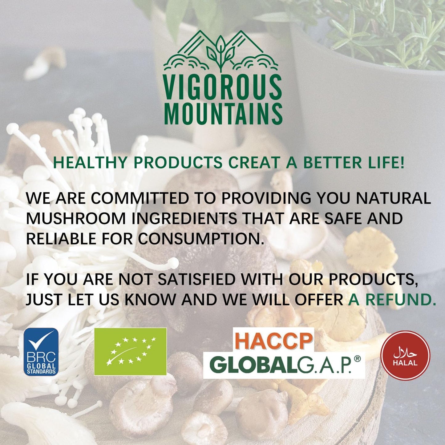 VIGOROUS MOUNTAINS Dried Woodear Mushrooms for Cooking 5 oz, Chewy Texture Dry Black Fungus for Soup Stir-fries Salads , 木耳 , 141.7 g