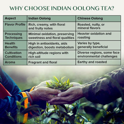 VAHDAM, High Mountain Oolong Tea Leaves From Himalayas (50+ Cups, 3.53oz) Strong & Robust Oolong Tea | High Elevation Grown | Vacuum Sealed | Brew Hot, Iced, Kombucha Tea | Loose Leaf Tea