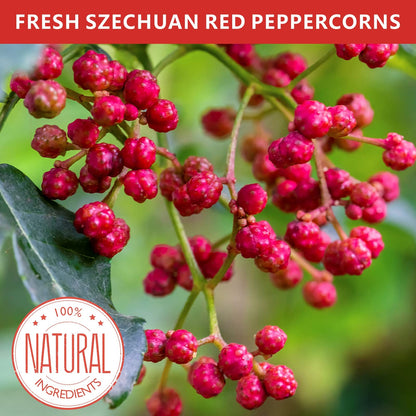 Yimi Sichuan Szechuan Peppercorns, Grade AAA Sichuan Whole Red Peppercorn, Strong Flavor for Mapo Tofu, Kung Pao Chicken, Ideal for Gift, 2.1 oz