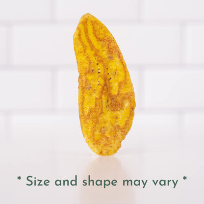 ARTISAN TROPIC Plantain Strips Sea Salt - 2 Pack, 4.5oz - Vegan, Paleo, Gluten Free Chips – Whole 30 Approved Foods Non-GMO Healthy Snack for Lunches, Dipping, Parties - Baked Banana Chips