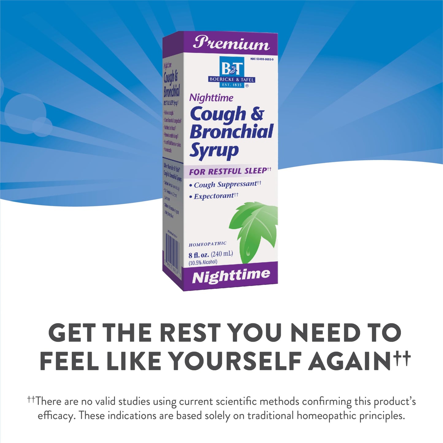 Nature's Way B&T Nighttime Cough & Bronchial Syrup for Restful Sleep Homeopathic, , Purple Cherry 8.0 Fl Oz