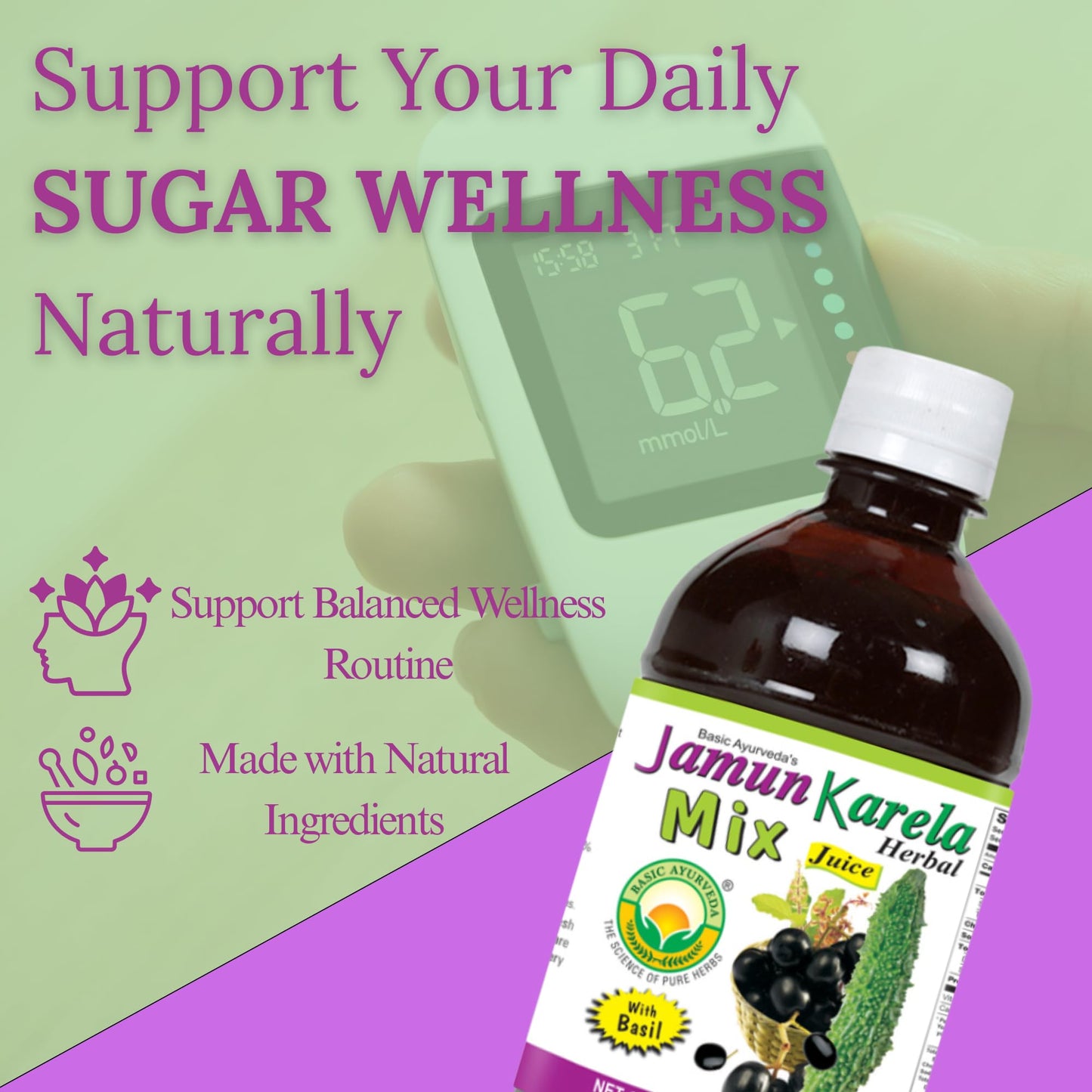 BASIC AYURVEDA Jamun Karela Herbal Mix Juice with Holy Basil | 16.23 Fl Oz (480ml) | Natural Indian Black Berry & Bitter Gourd Juice | Plant-Based Ayurvedic Wellness Drink | No Added Sugar