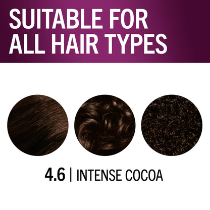 Schwarzkopf Keratin Permanent Hair Dye Cream, 4.6 Intense Cocoa, Professional Quality Color for Up to 100% Gray Coverage, Bond Enforcing System