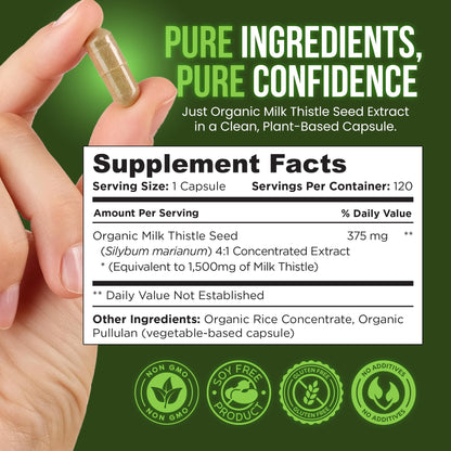 OmniBiotics Organic Milk Thistle Supplement 1500mg – 4X Concentrated Extract with Silymarin – High Potency Liver Detox & Support – 120 Vegan Capsules