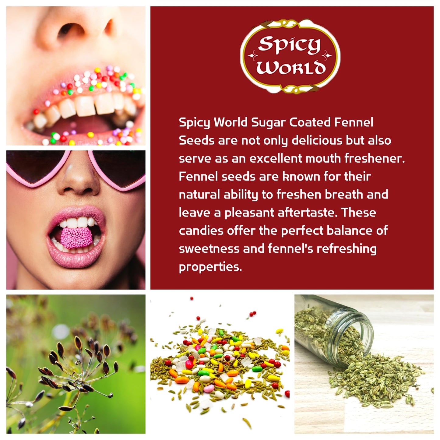Spicy World Sugar Coated Fennel Seeds | Sweet Saunf Candy for Mouth Freshening - 14 Oz (400g) Pack | Premium Quality Fennel Mouth Freshener | Indian After Meal Digestive Treat