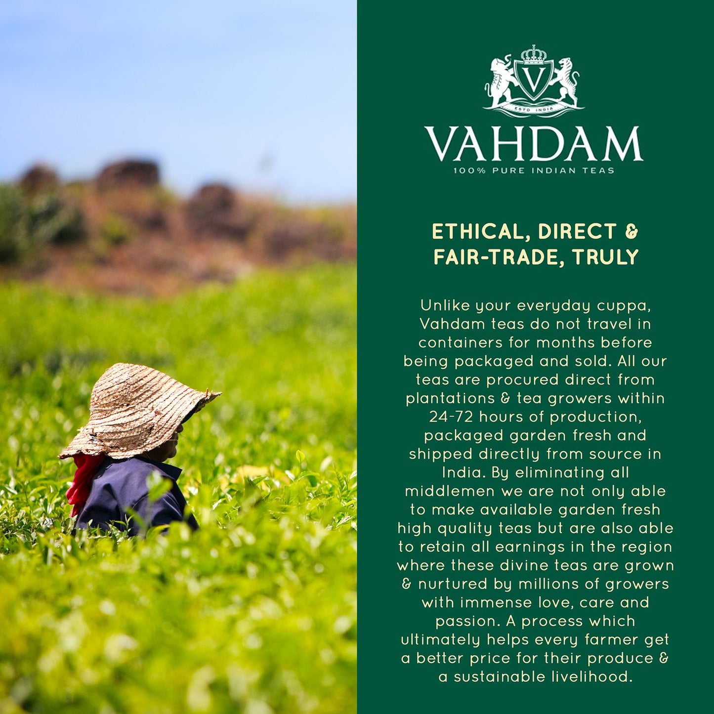 Vahdam Premium CTC Assam Black & English Breakfast Tea - Strong, Full-Bodied, Bold & Delicious | Perfect for Kombucha, Indian, Iced & Irish Breakfast (Assam CTC, Bulk Pack 226g)