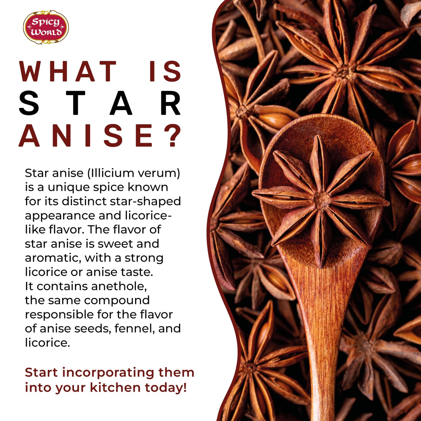 Star Anise Whole Pods 6 Oz Bag -Premium Quality, Vegan, All Natural, Dried, Great for Baking & Tea by Spicy World