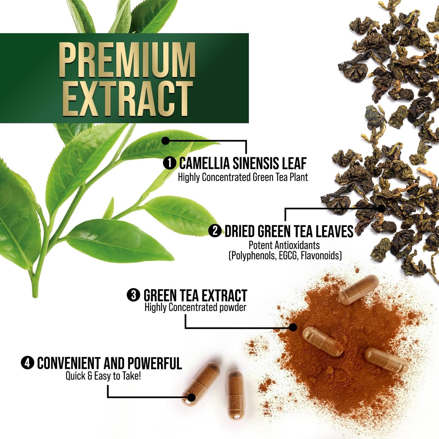 Green Tea Extract Capsules 1000 mg Per Serving - 3X Strength Green Tea Pills with 45% EGCG & 98% Polyphenols for Natural Energy - Vegan Antioxidant Herbal Supplement for Heart Support - 240 Capsules