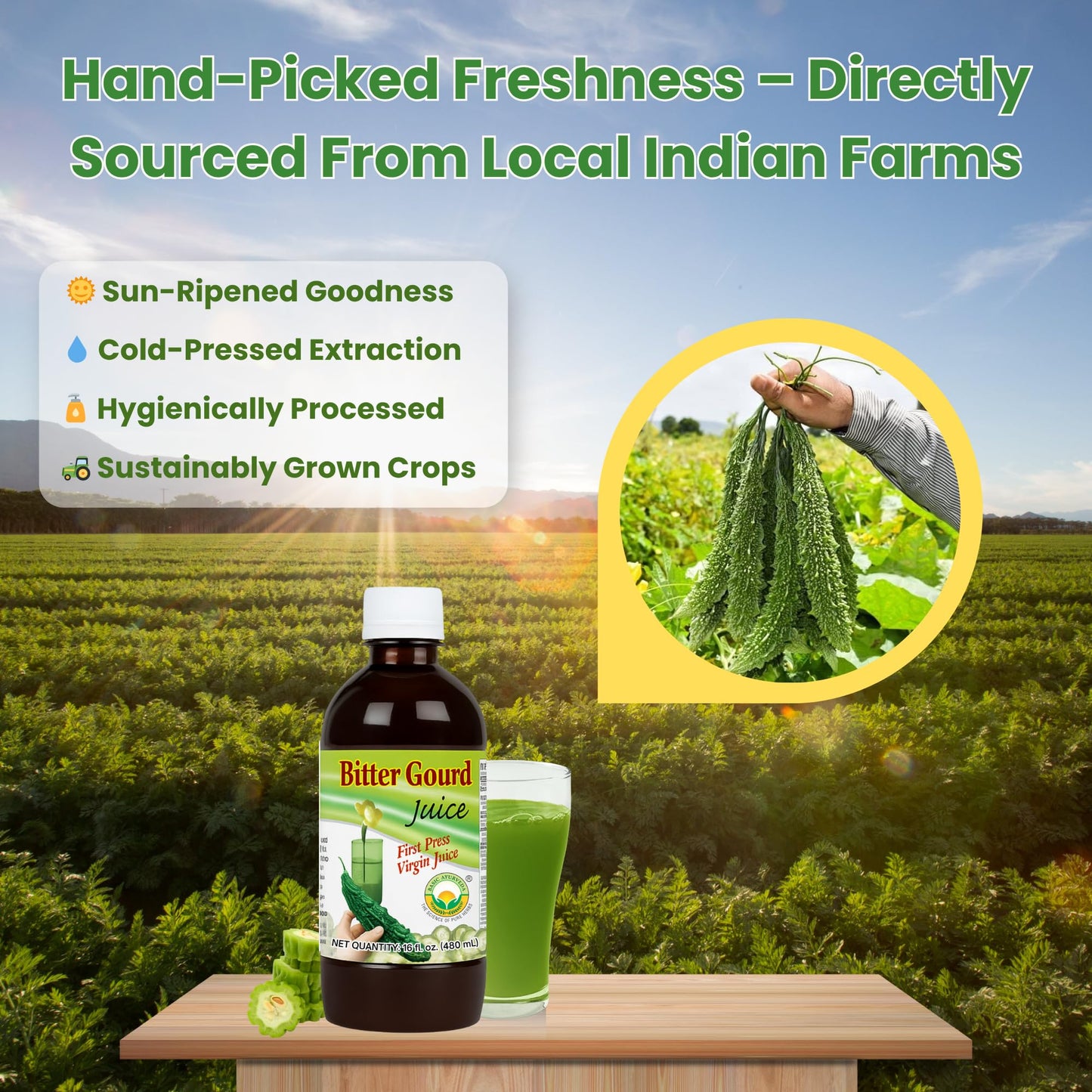 Basic Ayurveda Bitter Gourd (Karela) Juice | 32.46 Fl Oz (960ml) | Natural Bitter Melon Juice for Detox Support | Plant Based Ayurvedic Herbal Drink | for Liver Health, Digestion & Immunity