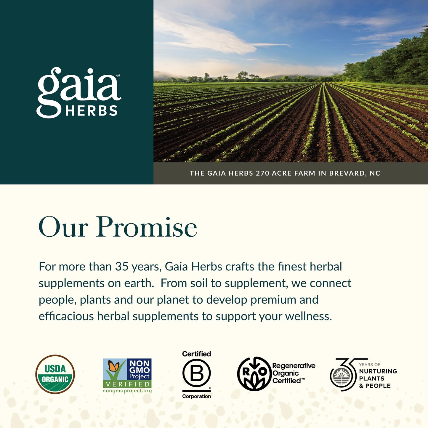 Gaia Herbs Hawthorn Supreme - Hawthorn Berry Supplement - with Herbs Traditionally Used to Support Heart Health* - 60 Vegan Liquid Phyto-Caps (60 Servings)