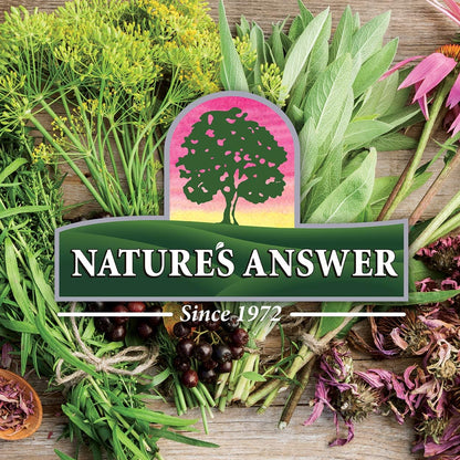 Nature's Answer Dong Quai Root 1000mg | Dietary Supplement | Supports Female Hormone Balance | Non-GMO, Vegan, Kosher Certified & Gluten-Free | Vegetarian Capsules 90ct