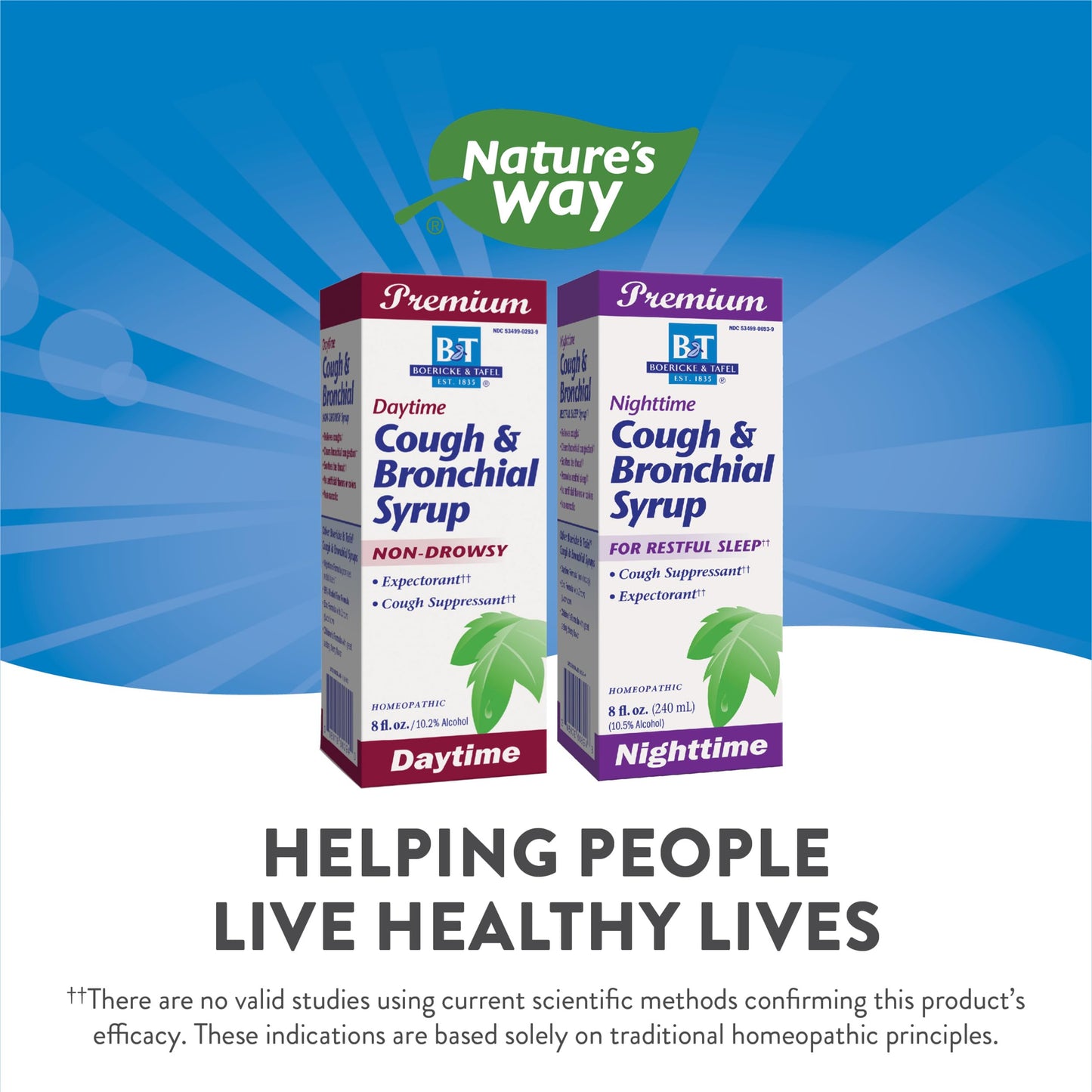 Nature's Way B&T Nighttime Cough & Bronchial Syrup for Restful Sleep Homeopathic, , Purple Cherry 8.0 Fl Oz