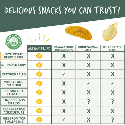 Artisan Tropic Your Tasty & Healthy Snack Strips, Plantain, 4.5 Ounce (Pack of 2)