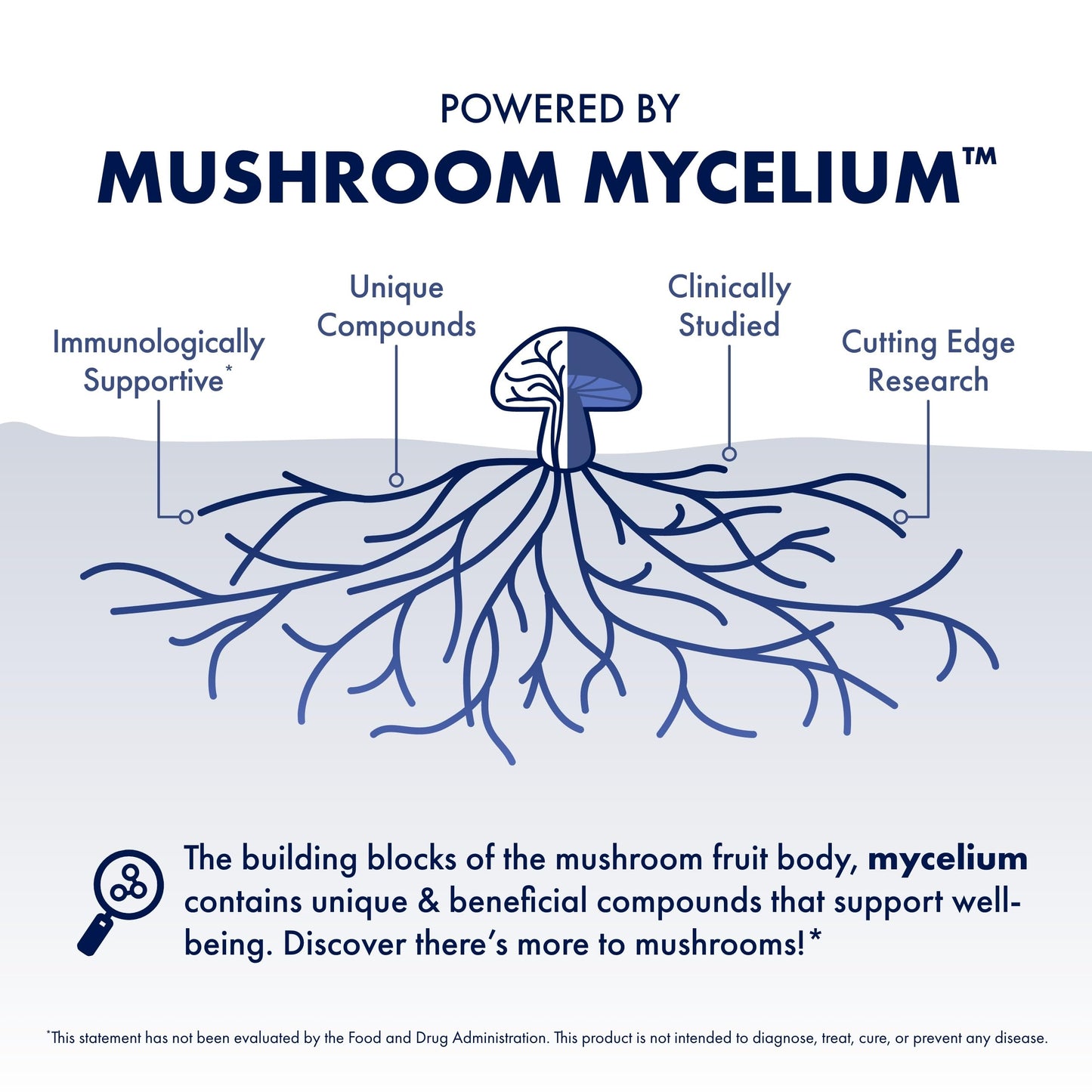 Host Defense MyCommunity Capsules - 17 Species Blend Mushroom Supplement for Immune Support - Herbal Aid with Lion's Mane, Reishi. Chaga, Cordyceps, Turkey Tail & More - 120 Capsules