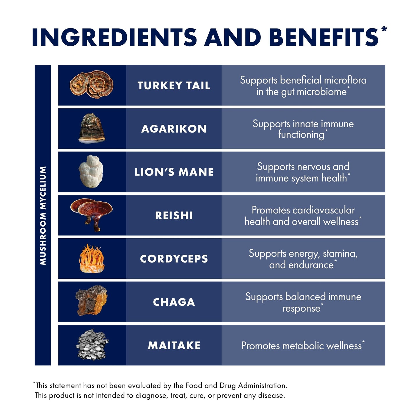 Host Defense MyCommunity Capsules - 17 Species Blend Mushroom Supplement for Immune Support - Herbal Aid with Lion's Mane, Reishi. Chaga, Cordyceps, Turkey Tail & More - 120 Capsules