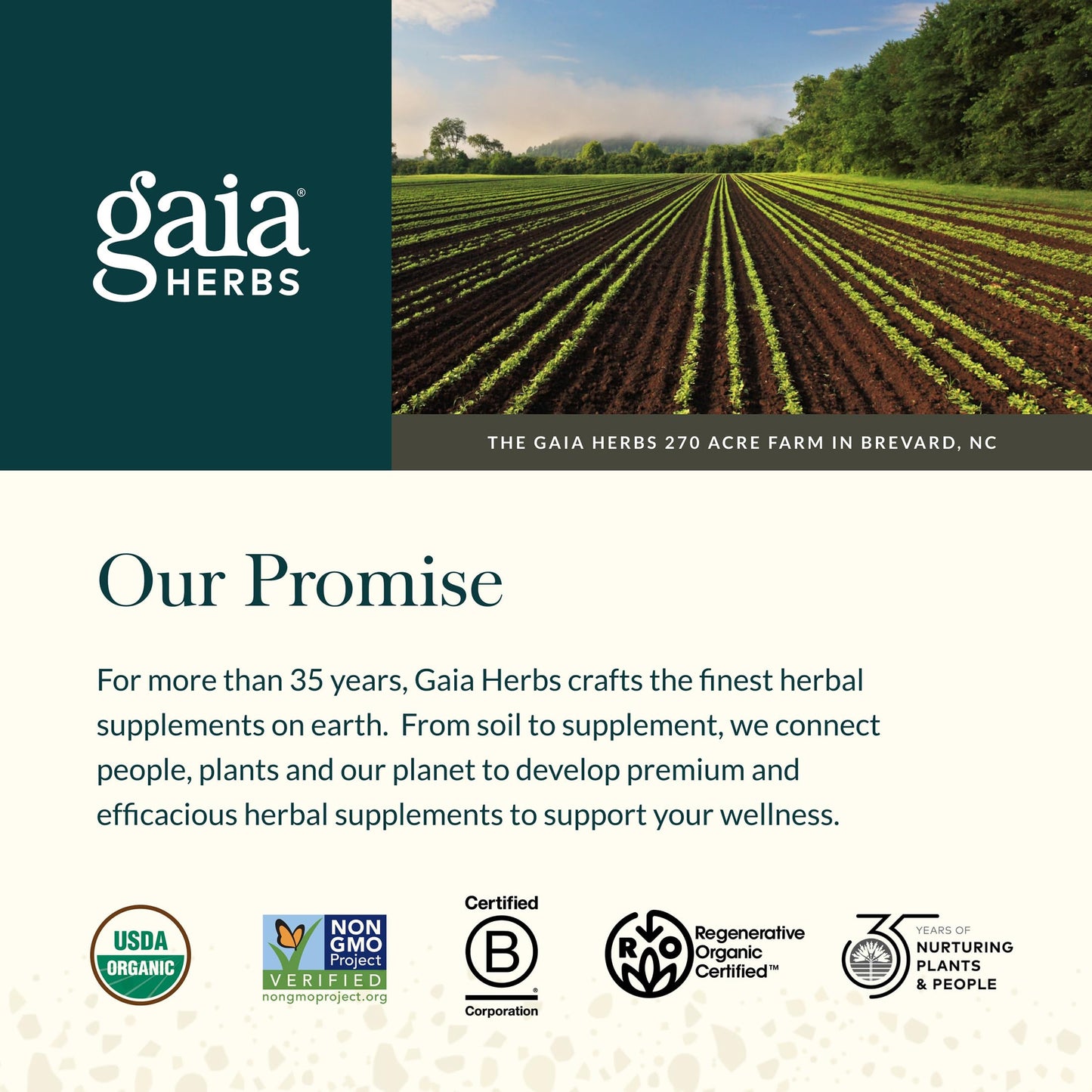 Gaia Herbs Turmeric Supreme Extra Strength - Supports Occasional Discomfort from Normal Wear & Tear* - with Turmeric Curcumin & Black Pepper - 120 Vegan Liquid Phyto-Caps (Up to 120 Servings)
