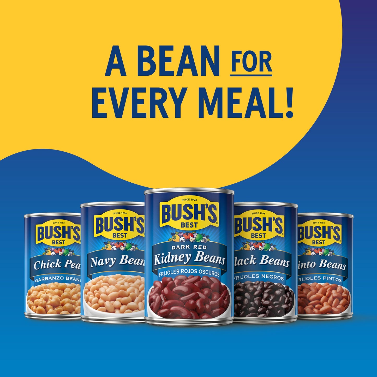BUSH'S BEST 16 oz Canned Large Butter Beans, Source of Plant Based Protein and Fiber, Low Fat, Gluten Free, (Pack of 12)