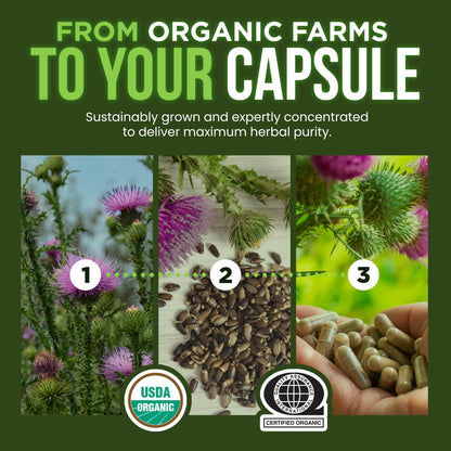 OmniBiotics Organic Milk Thistle Supplement 1500mg – 4X Concentrated Extract with Silymarin – High Potency Liver Detox & Support – 120 Vegan Capsules
