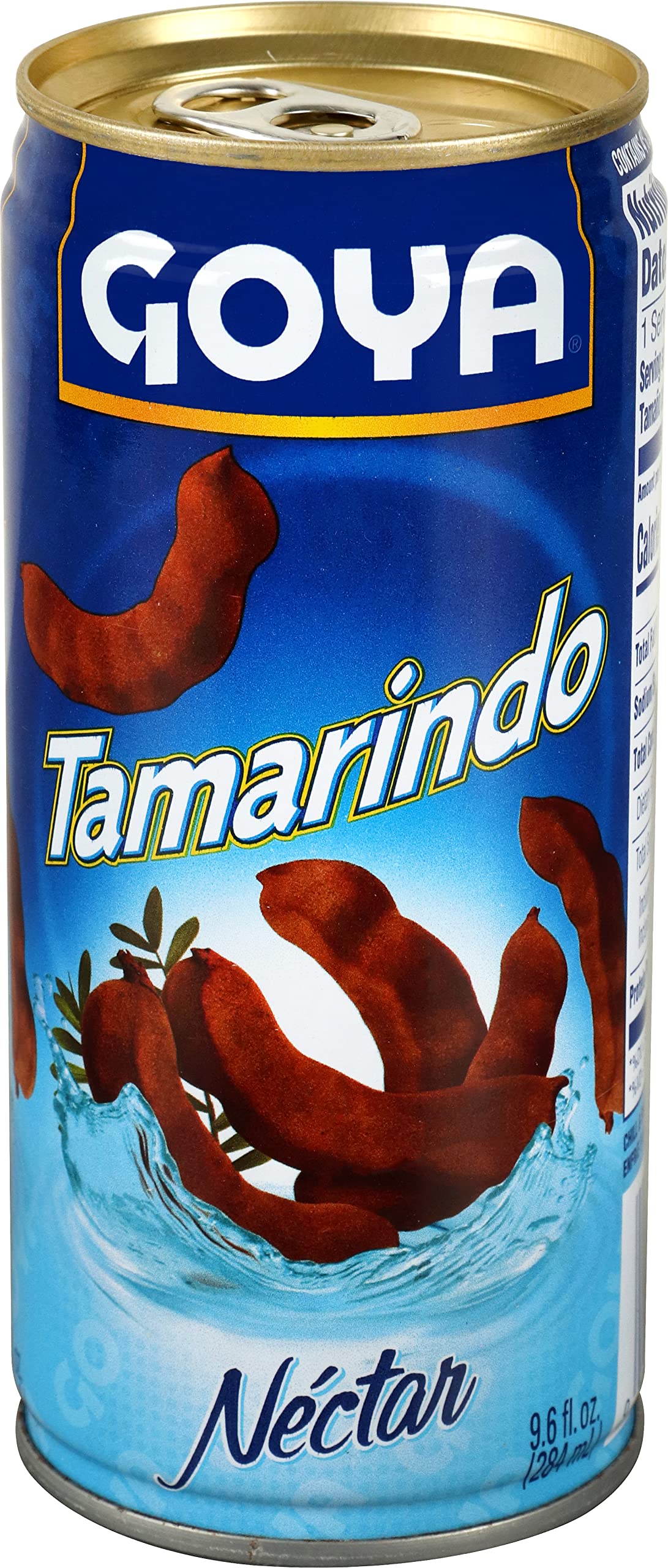Goya Foods Tamarind Nectar, 9.6 Fl Oz (Pack of 24)
