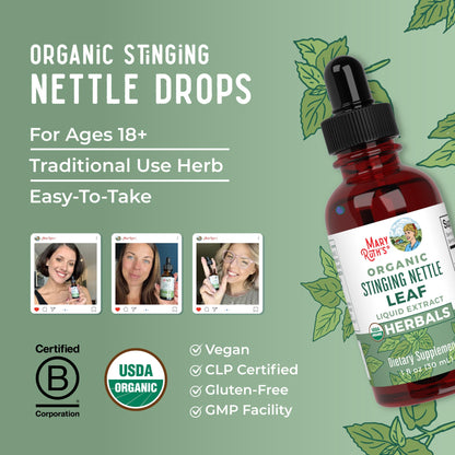 MaryRuth Organics Stinging Nettle Leaf Extract | Detox Supplement Herbal Drops | USDA Organic | Vegan | Non-GMO | Gluten Free | 1 Fluid Oz