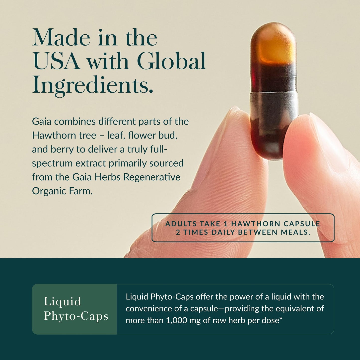 Gaia Herbs Hawthorn Supreme - Hawthorn Berry Supplement - with Herbs Traditionally Used to Support Heart Health* - 60 Vegan Liquid Phyto-Caps (60 Servings)