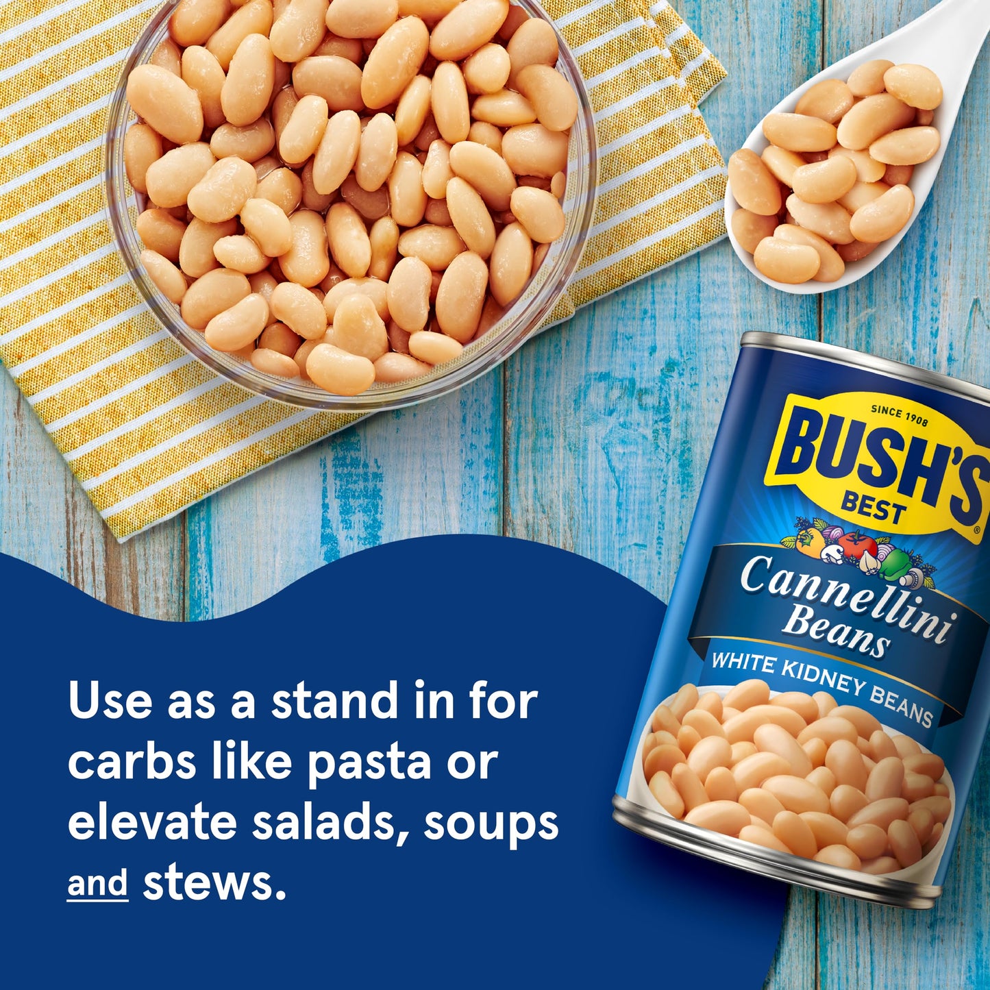 BUSH'S BEST 15.5 oz Canned Cannellini Beans, Source of Plant Based Protein and Fiber, Low Fat, Gluten Free, (Pack of 12)