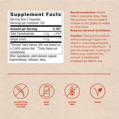 Nature’s Way Ginger Root Capsules, 1100 mg per 2-Capsule Serving Ginger Supplement for Digestive Comfort and Motion-Related Nausea Support*, Vegan, Non-GMO Project Verified, 240 Count